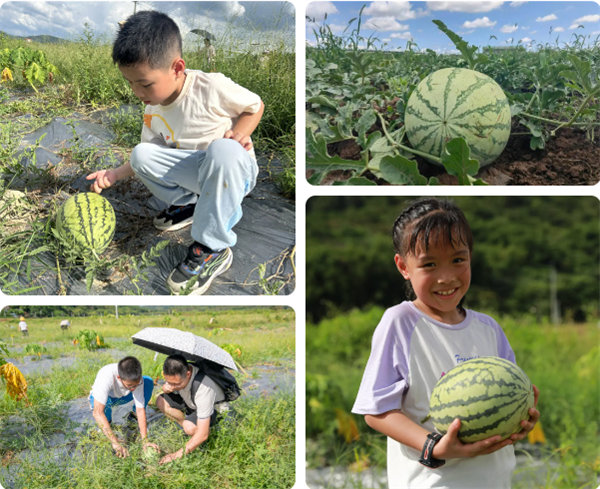 趣游盛夏，一路童行—2024年廣東博皓親子游   -12